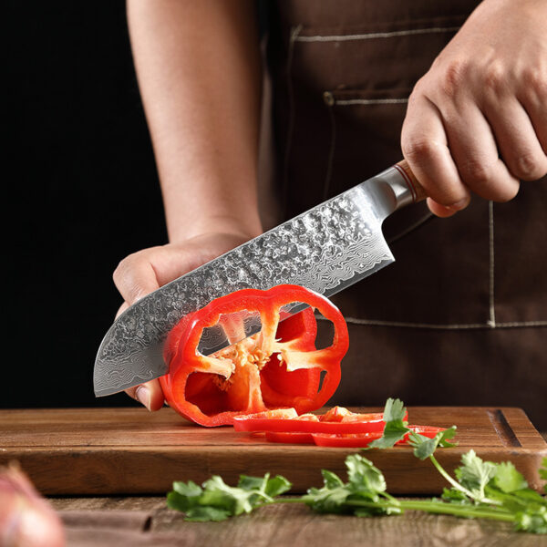 845bdc7a-bb55-4bac-a30d-7b5153f406cf.jpg Damascus Steel Hand Kitchen Knife